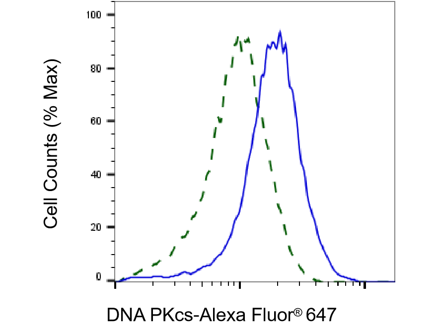 [KD Validated] Anti-PRKDC Rabbit mAb [60S60B40]