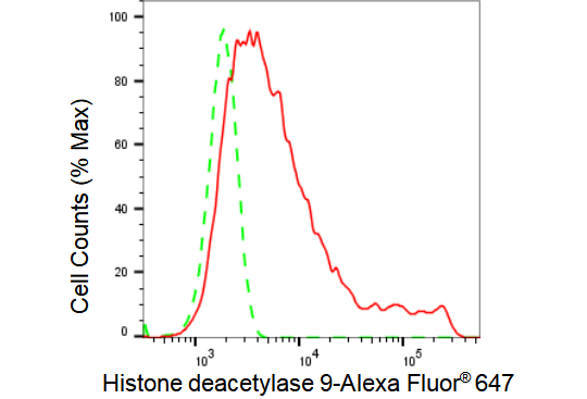 [KD Validated] Anti-HDAC9 Rabbit mAb [78P50B87]