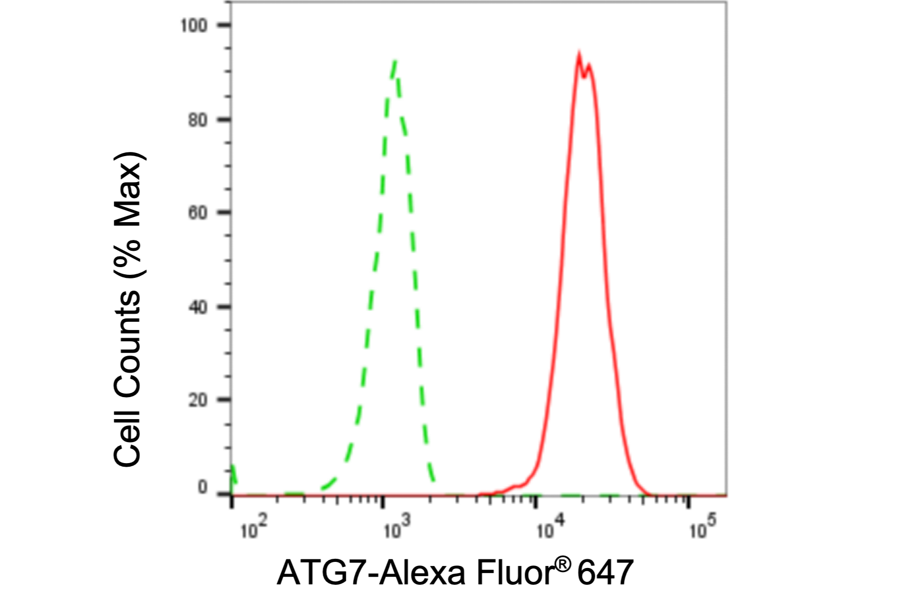 [KD Validated] Anti-ATG7 Rabbit mAb [18P51L70]