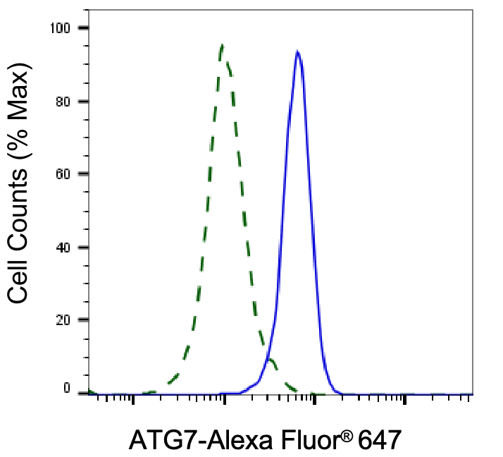 [KD Validated] Anti-ATG7 Rabbit mAb [18P51L70]