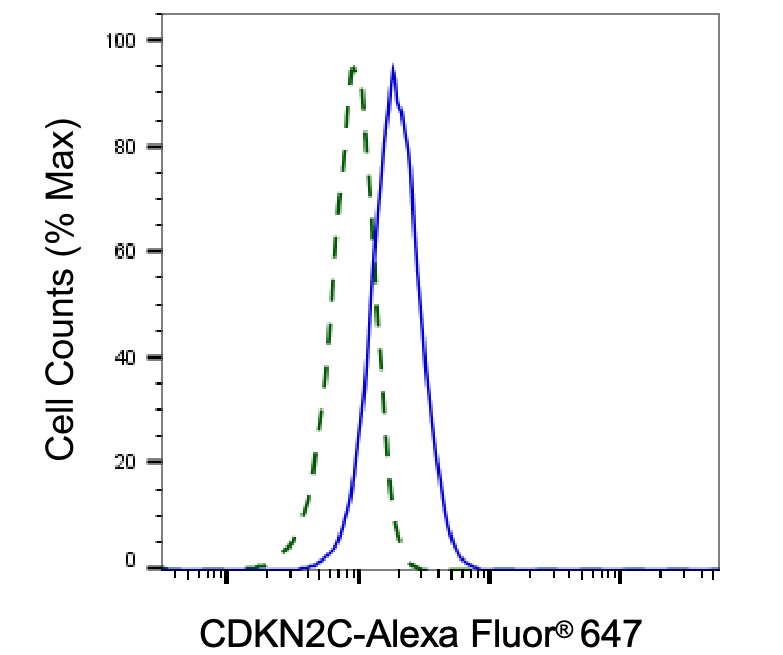 [KD Validated] Anti-CDKN2C Rabbit mAb [74B91A30]