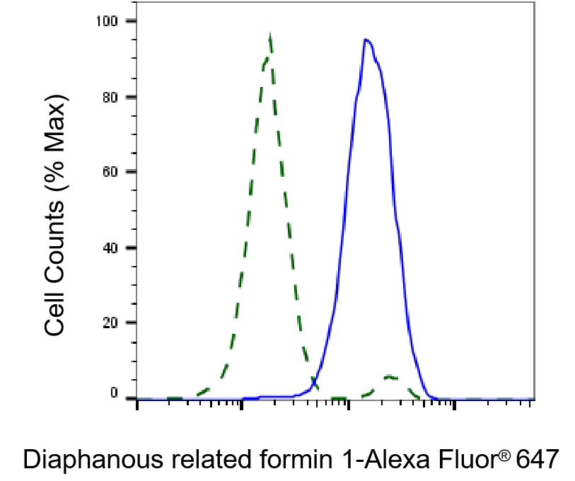 [KD Validated] Anti-DIAPH1 Rabbit mAb [71Q05B45]