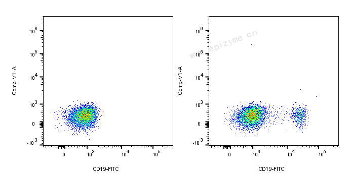 FITC Mouse Anti-Human CD19 [66E25M53]