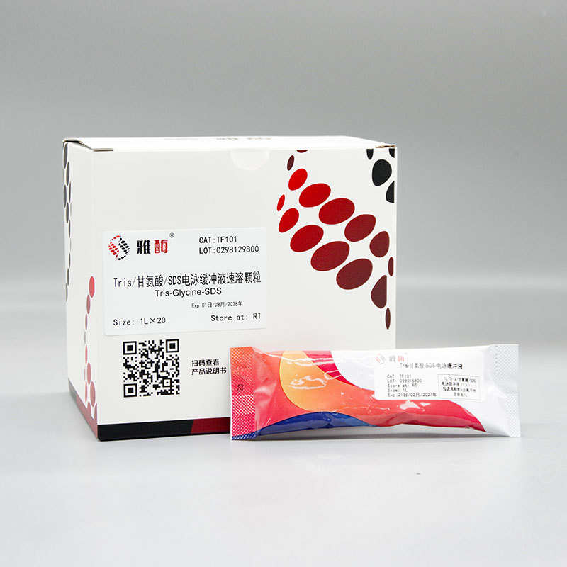 Tris/甘氨酸/SDS电泳缓冲液速溶颗粒