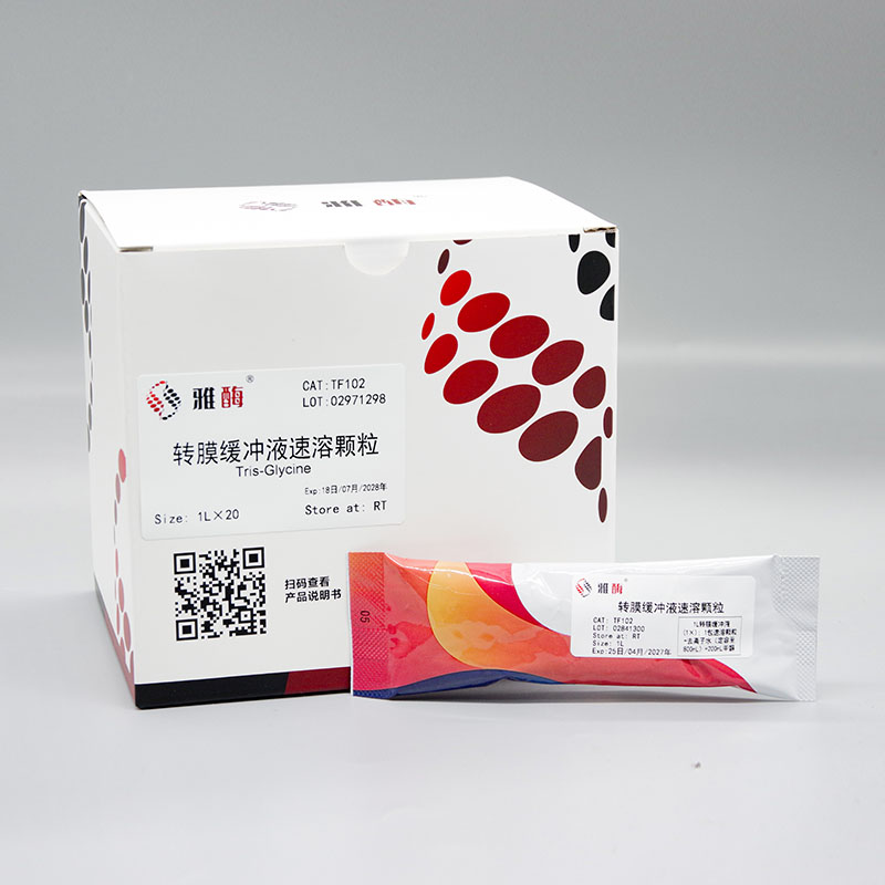 转膜缓冲液速溶颗粒