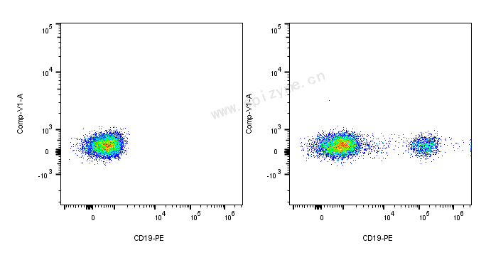 PE Mouse Anti-Human CD19 [66E25M53]