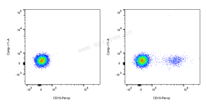 PerCP Mouse Anti-Human CD19 [66E25M53]